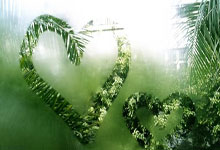 薩哈:桑喬回歸,只要表現出色必然受到表揚!.