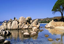 两会·行囊里的民生密码丨全国人大代表鲁曼:一幅羽毛画 绘就乡村振兴新图景.